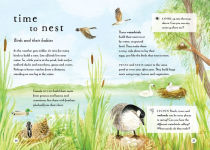 Alternative view 3 of A Field Guide to Spring: Play and Learn in Nature