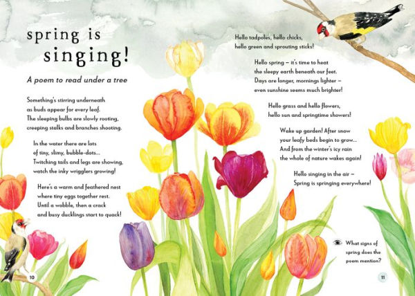 A Field Guide to Spring: Play and Learn in Nature