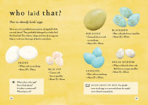 Alternative view 5 of A Field Guide to Spring: Play and Learn in Nature