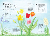 Alternative view 8 of A Field Guide to Spring: Play and Learn in Nature