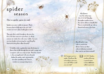 Alternative view 6 of A Field Guide to Autumn: Play and Learn in Nature
