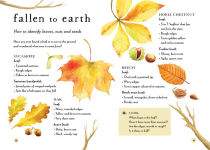 Alternative view 7 of A Field Guide to Autumn: Play and Learn in Nature