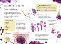 Alternative view 8 of A Field Guide to Autumn: Play and Learn in Nature