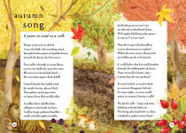 Alternative view 9 of A Field Guide to Autumn: Play and Learn in Nature