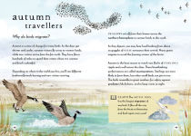 Alternative view 10 of A Field Guide to Autumn: Play and Learn in Nature