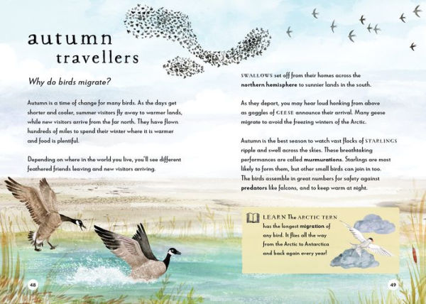 A Field Guide to Autumn: Play and Learn in Nature