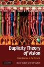 Duplicity Theory of Vision: From Newton to the Present