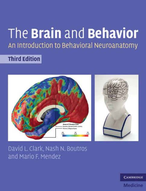 The Brain And Behavior: An Introduction To Behavioral Neuroanatomy By ...