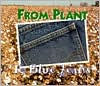 From Plant to Blue Jeans: A Photo Essay
