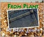 From Plant to Blue Jeans: A Photo Essay