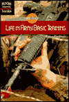 Life in Army Basic Training