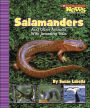 Salamanders and Other Animals with Amazing Tails