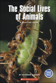 Social Lives of Animals: A Chapter Book