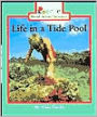 Life in a Tide Pool