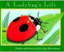 A Ladybug's Life