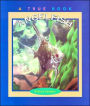 Angelfish
