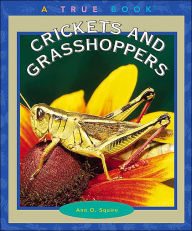 Crickets and Grasshoppers