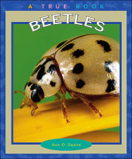 Beetles