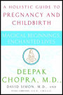 Magical Beginnings, Enchanted Lives: A Holistic Guide to Pregnancy and Childbirth