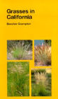 Grasses in California