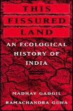 This Fissured Land / Edition 1