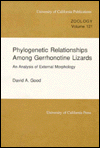 Phylogenetic Relationships Among Gerrhonotine Lizards: An Analysis of External Morphology