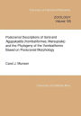 Postcranial Descriptions of Ilaria and Ngapakaldia (Vombatiformes, Marsupialia) and the Phylogeny of the Vombatiforms Based on Postcranial Morphology
