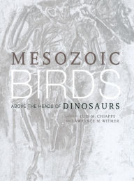 Title: Mesozoic Birds: Above the Heads of Dinosaurs / Edition 1, Author: Luis M. Chiappe