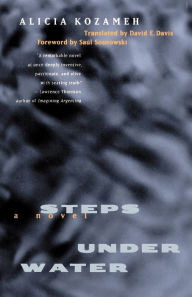 Title: Steps under Water: A Novel, Author: Alicia Kozameh