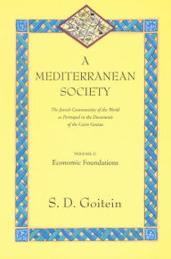 Title: A Mediterranean Society, Volume I: The Jewish Communities of the Arab World as Portrayed in the Documents of the Cairo Geniza, Economic Foundations / Edition 1, Author: S. D. Goitein