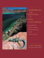 Amphibians and Reptiles of Baja California, Including Its Pacific Islands and the Islands in the Sea of Cortes / Edition 1