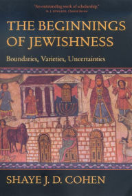 The Beginnings of Jewishness: Boundaries, Varieties, Uncertainties / Edition 1