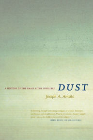 Dust: A History of the Small and the Invisible / Edition 1