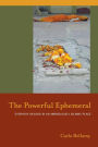 The Powerful Ephemeral: Everyday Healing in an Ambiguously Islamic Place / Edition 1