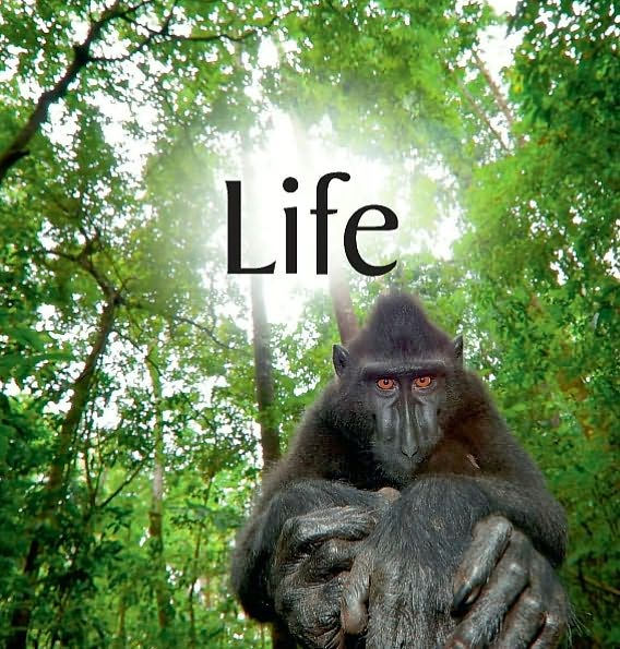 Life: Extraordinary Animals, Extreme Behaviour / Edition 1