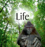 Alternative view 2 of Life: Extraordinary Animals, Extreme Behaviour / Edition 1