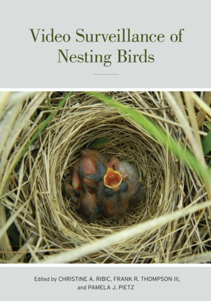 Video Surveillance of Nesting Birds