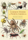 Common Spiders of North America / Edition 1