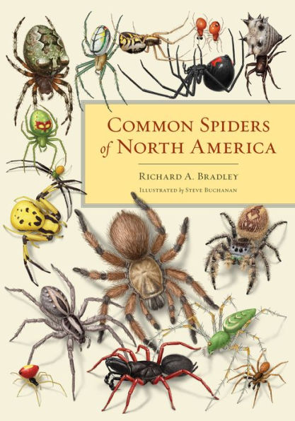 Common Spiders of North America / Edition 1