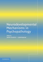 Neurodevelopmental Mechanisms in Psychopathology