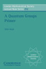 A Quantum Groups Primer