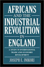 Africans and the Industrial Revolution in England: A Study in International Trade and Economic Development / Edition 1