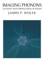 Imaging Phonons: Acoustic Wave Propagation in Solids