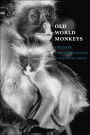Old World Monkeys
