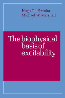 The Biophysical Basis of Excitability