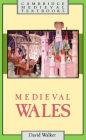 Medieval Wales / Edition 1