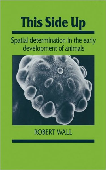 This Side Up: Spatial Determination in the Early Development of Animals