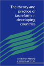 The Theory and Practice of Tax Reform in Developing Countries