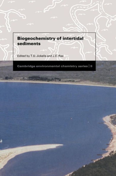 Biogeochemistry of Intertidal Sediments