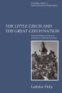The Little Czech and the Great Czech Nation: National Identity and the Post-Communist Social Transformation / Edition 1